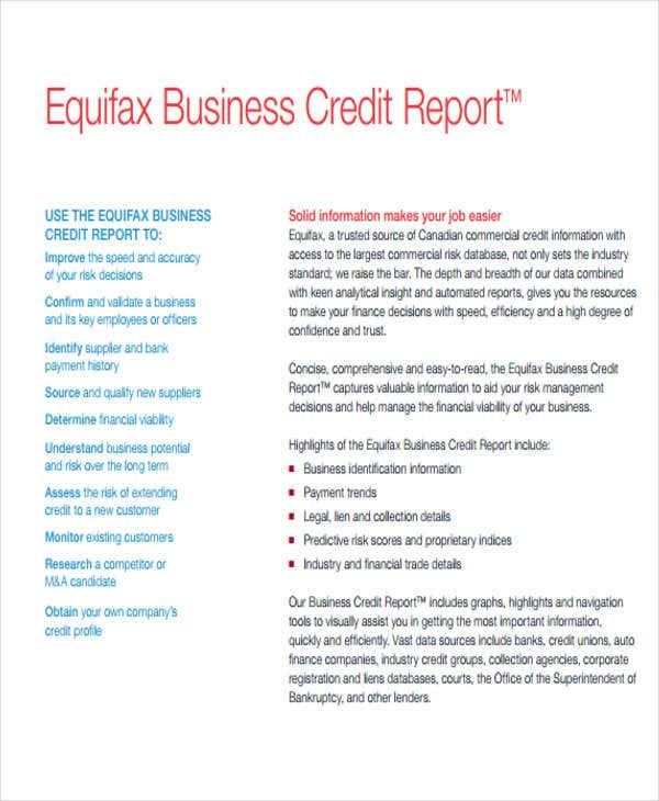 12+ Sample Credit Report Templates