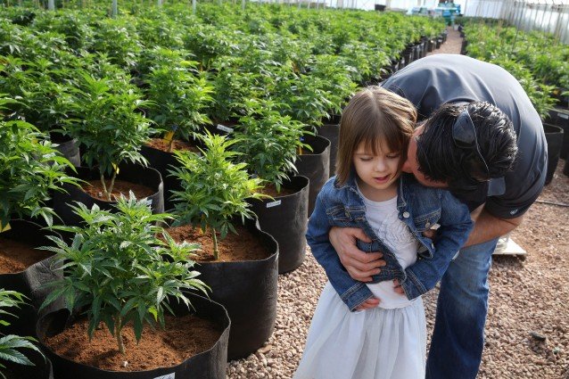 Almost Every Lawmaker In Florida Supports Medical Marijuana Bill, Even ...