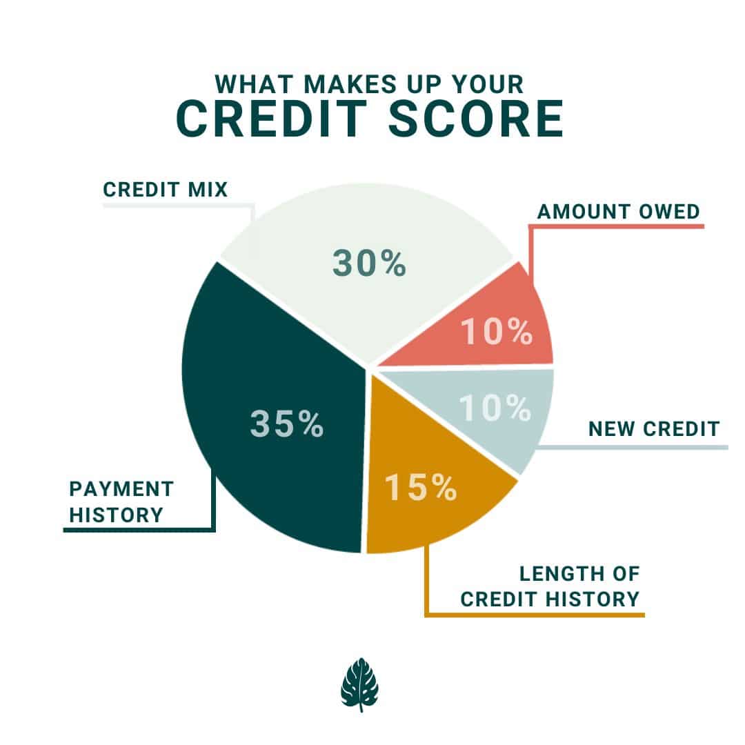 Back to the Basics: Credit Scores 101
