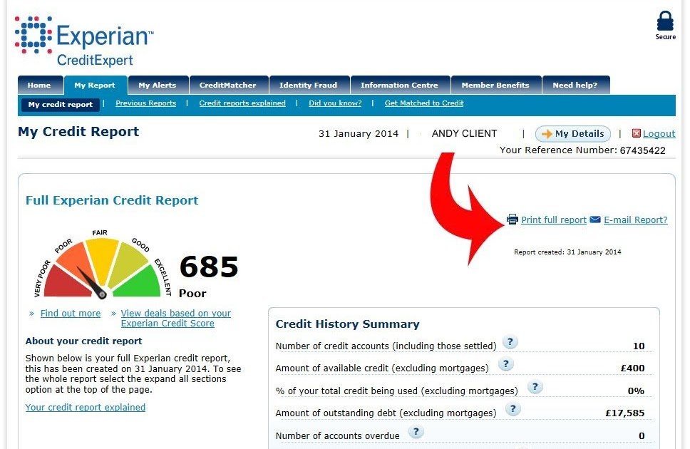 Experian credit score check eire