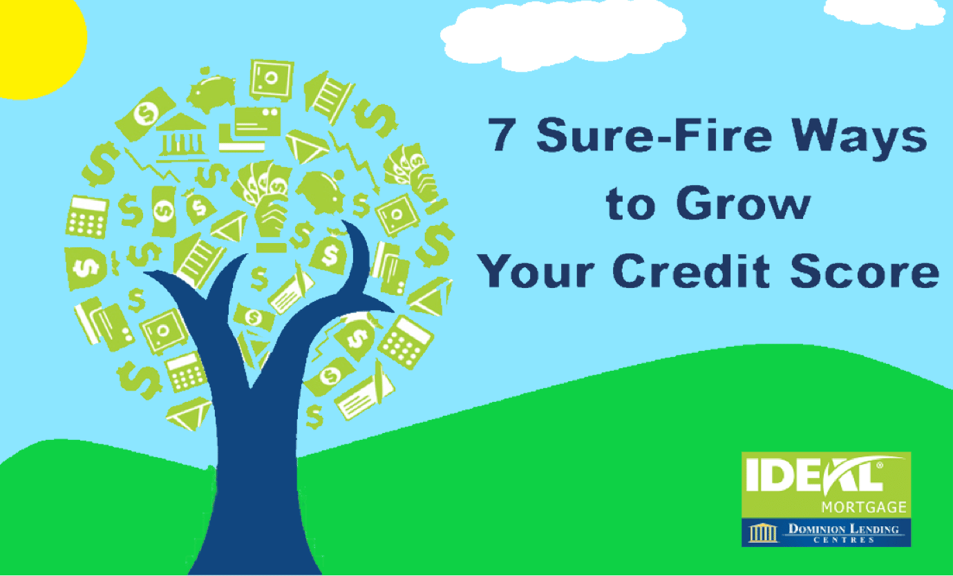 Grow Your Credit Score