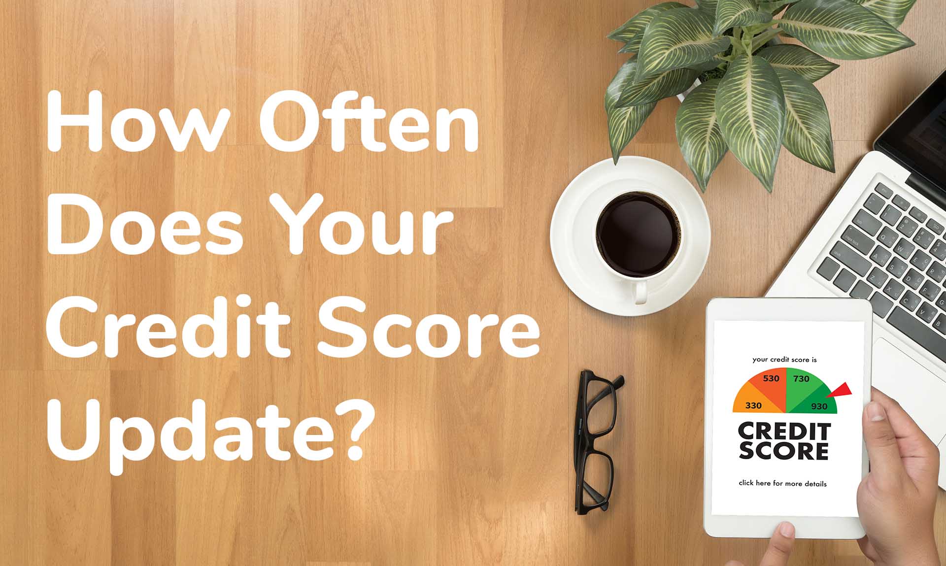 How Often Does Your Credit Score Update? (Answered ...