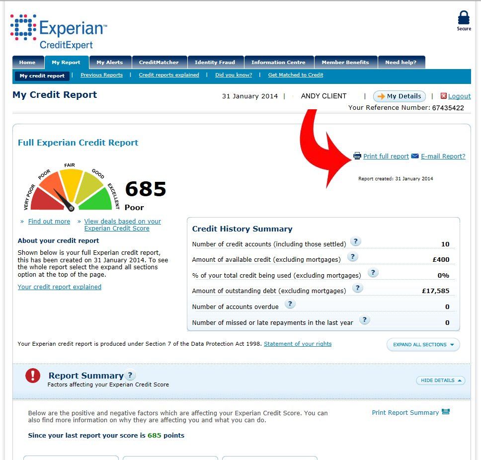 How to download your Experian credit report