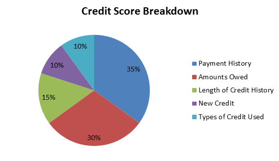 What Goes Into Your Credit Score?